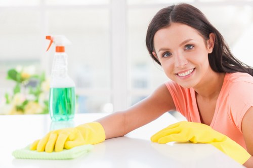 Professional cleaners sanitizing a modern home in Waterloo
