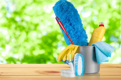 Professional cleaners working in a Kirribilli home