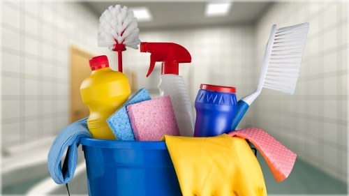 Professional carpet cleaning service by Jack Cleaners