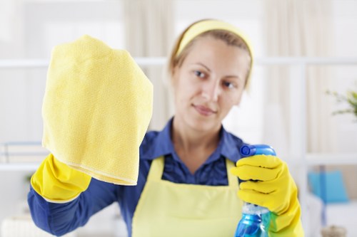 Professional cleaners providing home cleaning services in Maribyrnong