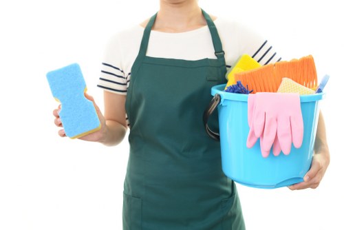 Cleaning professionals at work in a Maribyrnong home