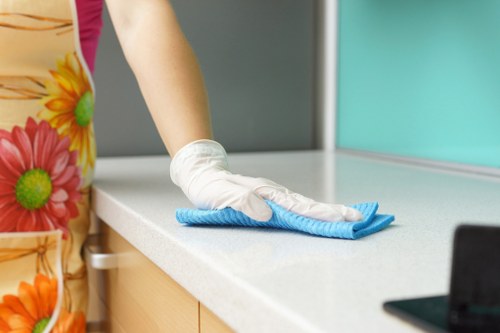 Professional cleaning team at work in a Sydney home