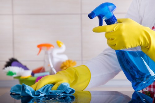 Professional cleaners cleaning a modern home in Melton