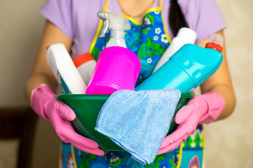 Professional cleaners working in Piara Waters residential area