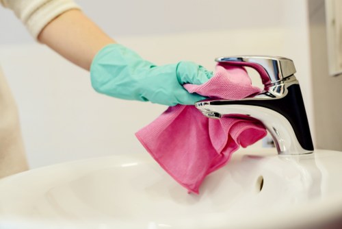 Professional cleaners working in Keilor Downs home