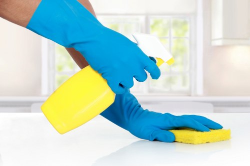 Professional cleaners sanitizing a modern living room in Frenchs Forest