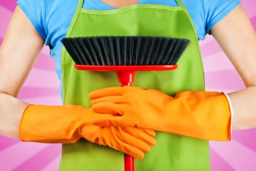 Professional cleaners working in Birchgrove residence