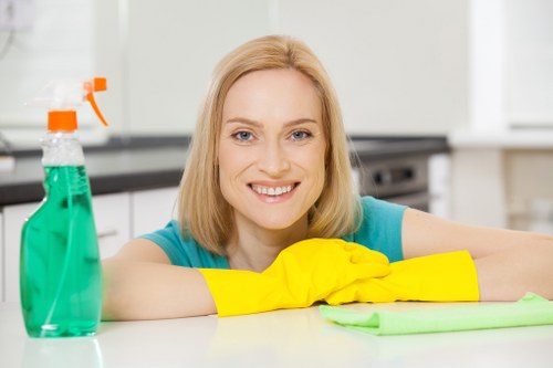 Experienced Pinkenba cleaners ensuring quality