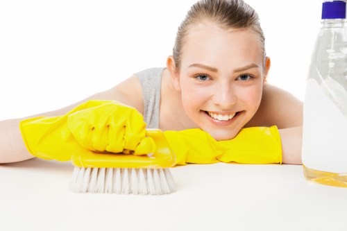 Commercial cleaning team at work in an office