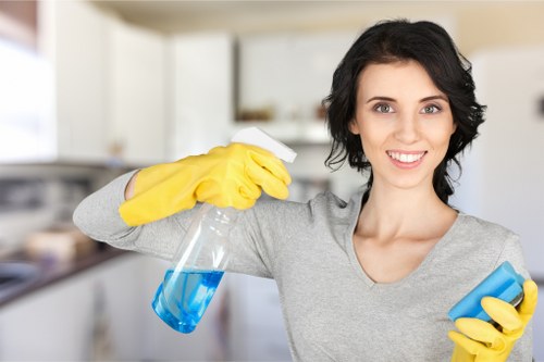 Comprehensive cleaning services offered in Kirribilli