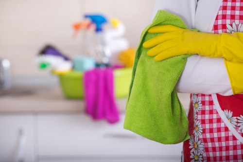 Comprehensive residential cleaning services in Woollahra