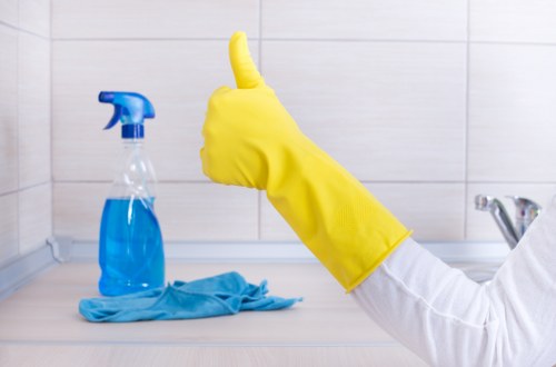 Local Mascot cleaners providing personalized service