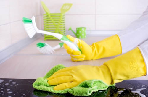Cleaners in Murarrie scheduling appointments online