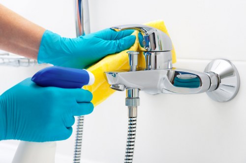 Eco-friendly cleaning products used by Balwyn cleaners