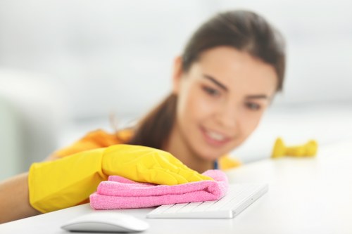 Window cleaning process with eco-friendly products