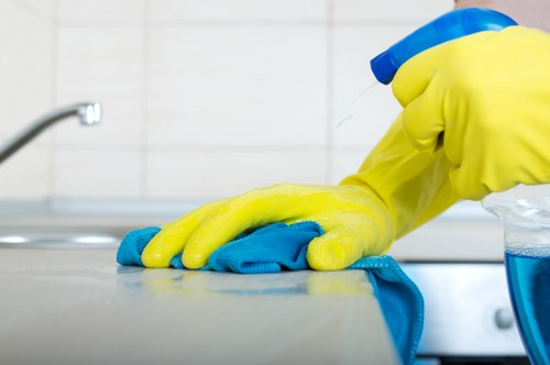 Spotless residential windows enhancing home appearance