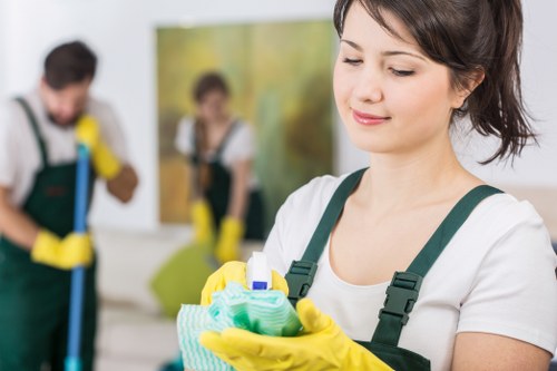 Cleaners providing carpet and upholstery services in Palmyra