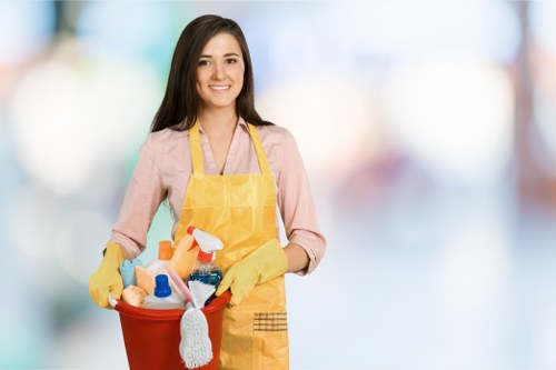 Eco-friendly cleaning products in use