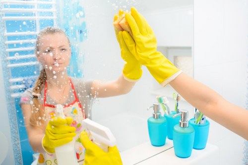 Eco-friendly cleaning products used by Five Dock professionals