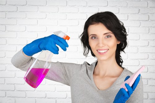 Specialized cleaning professionals at work in Carseldine