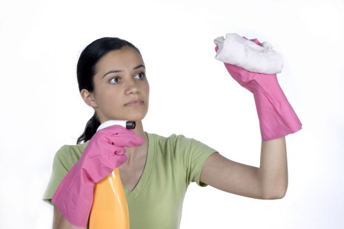 Sanitized bathroom surfaces with Jack Cleaners