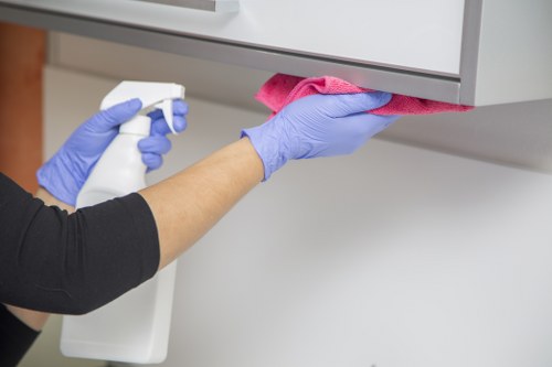 Eco-friendly cleaning products used by Doolandella cleaners