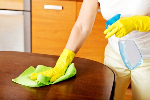 Experienced cleaning professionals in Pascoe Vale