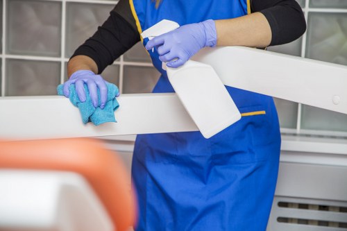 Eco-friendly cleaning solutions being used